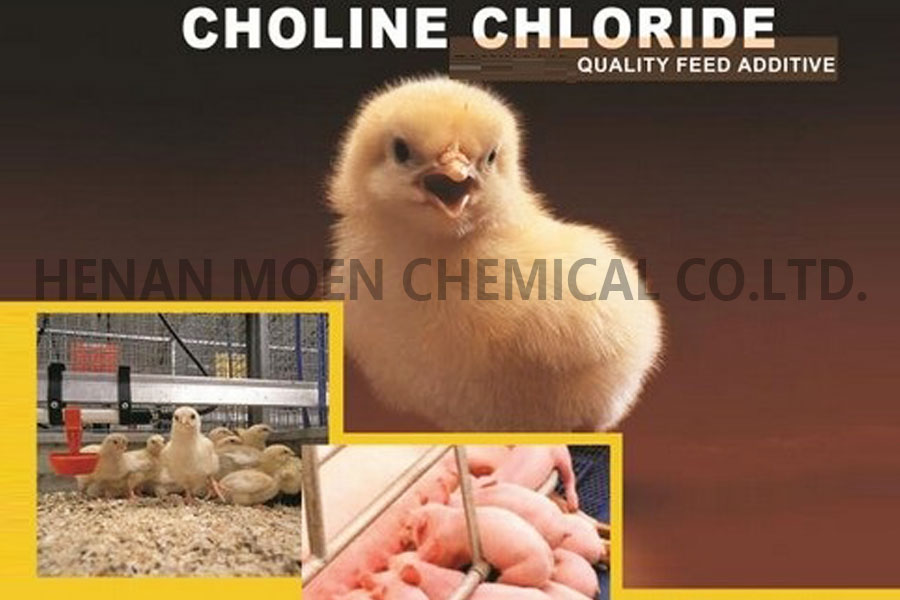 Choline Chloride